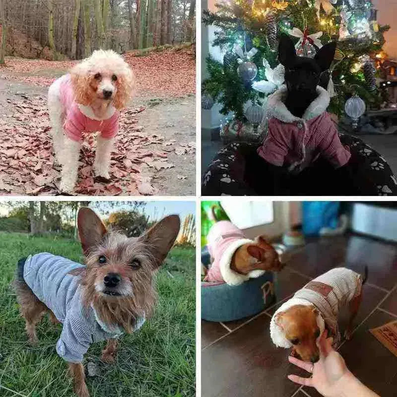 Roupa de Frio para Cachorros Revestida com Algodão - Mundo Animalito