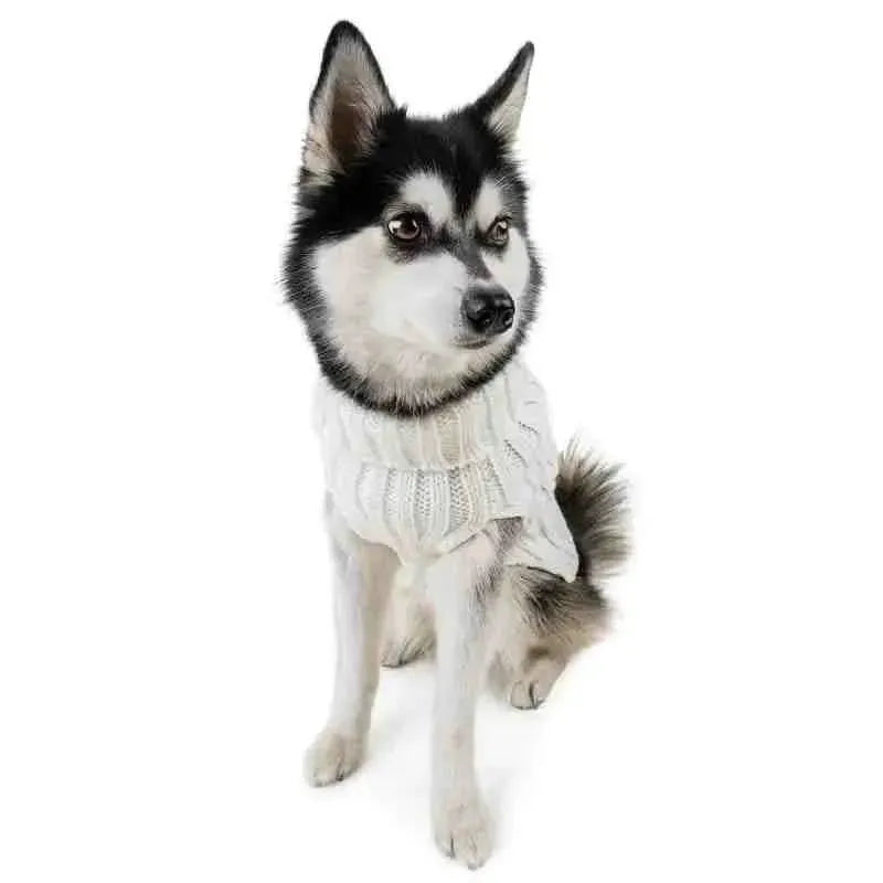 Roupa de Frio Para Cachorros - Suéter em Tricô com Gola - Mundo Animalito