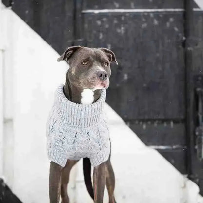 Roupa de Frio Para Cachorros - Suéter em Tricô com Gola - Mundo Animalito