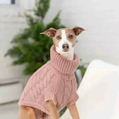 Roupa de Frio Para Cachorros - Suéter em Tricô com Gola - Mundo Animalito