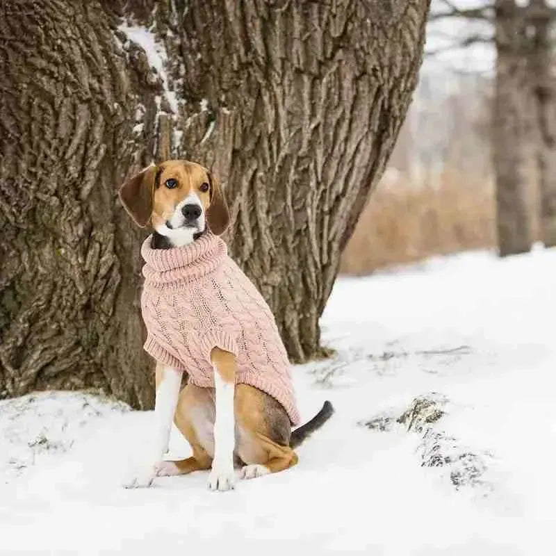 Roupa de Frio Para Cachorros - Suéter em Tricô com Gola - Mundo Animalito