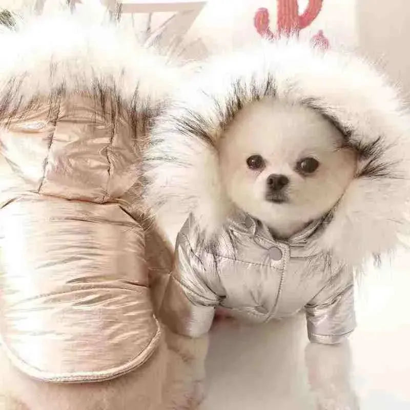 Roupa De Frio para Pets - Jaqueta com Capuz Peluciada - Mundo Animalito