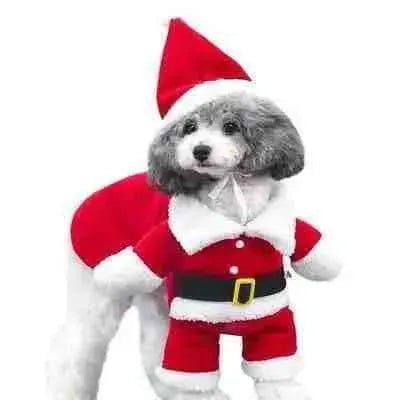 Roupa de Natal para Cachorro - Papai Noel - Mundo Animalito