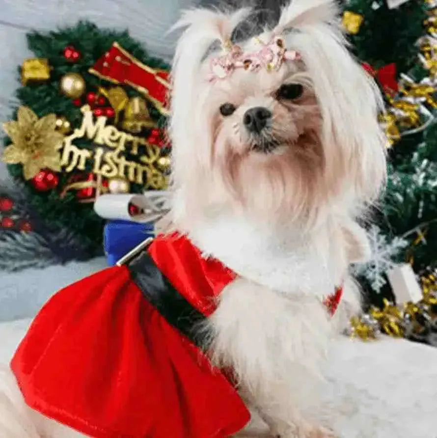 Roupa de Natal para Cachorro - Vestido - Mundo Animalito