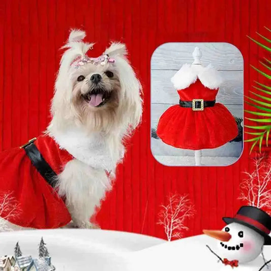 Roupa de Natal para Cachorro - Vestido - Mundo Animalito