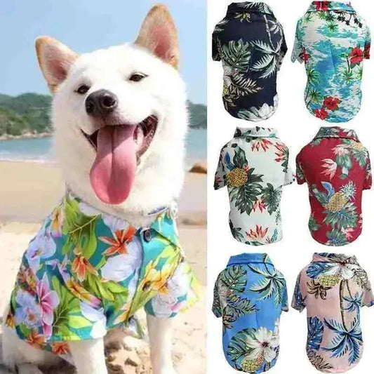 Roupa para Cachorro de Verão - Mundo Animalito