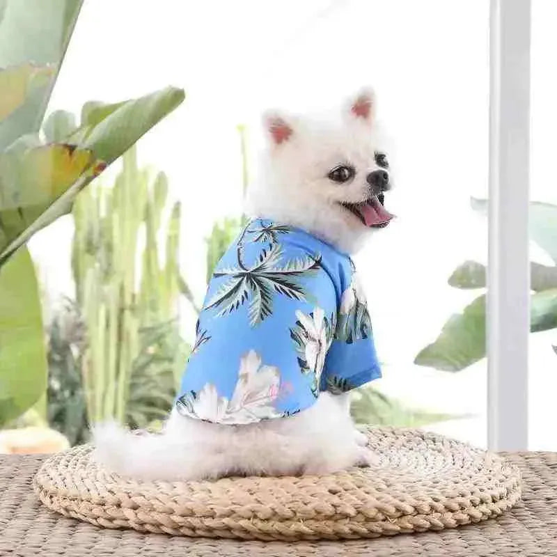 Roupa para Cachorro de Verão - Mundo Animalito