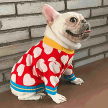 Roupa Suéter de Tricot Para Cachorro - Pet Date - Mundo Animalito