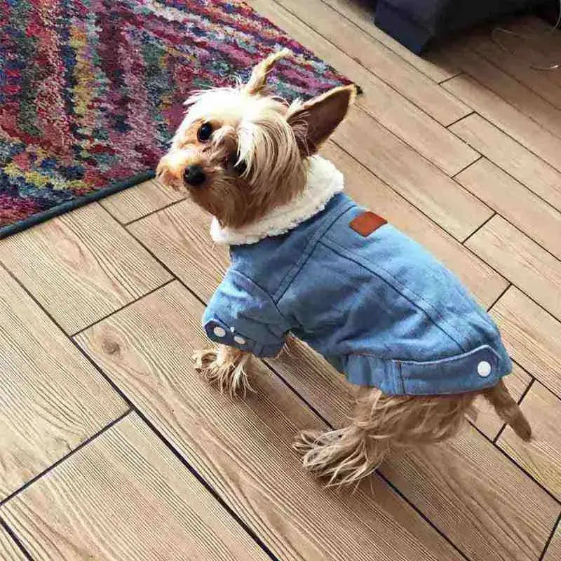 Roupinha de Frio Jeans Forrada com Algodão para Pets - Mundo Animalito