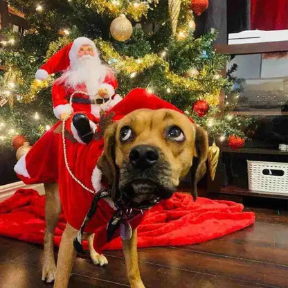 Roupinha De Natal Para Cães E Gatos Papai Noel - Mundo Animalito