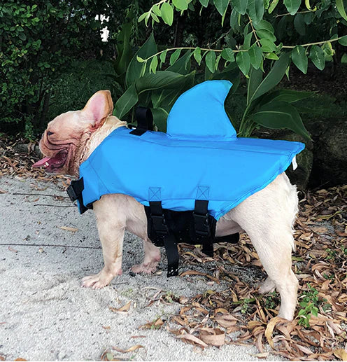 Colete Salva Vidas Cachorro Pet Floater Shark | Mundo Animalito