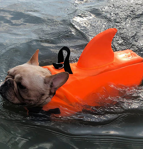 Colete Salva Vidas Cachorro Pet Floater Shark | Mundo Animalito