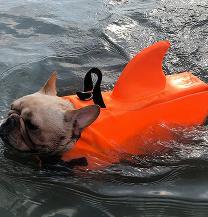 Colete Salva Vidas Cachorro Pet Floater Shark | Mundo Animalito