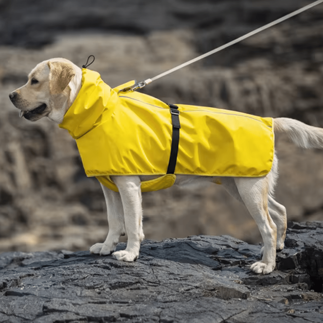 Capa de Chuva para Cachorro Ajustável, Reflexiva com Gola Alta