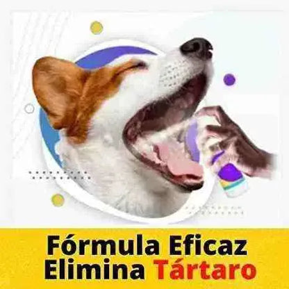 Spray Anti Tártaro E Mau Hálito Para Pets | Mundo Animalito - Mundo Animalito