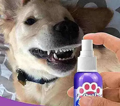 Spray Anti Tártaro E Mau Hálito Para Pets | Mundo Animalito - Mundo Animalito