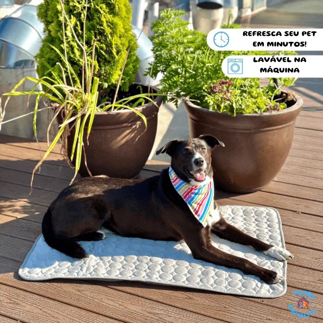 Cão deitado em tapete gelado para pets ao ar livre, próximo a vasos de plantas