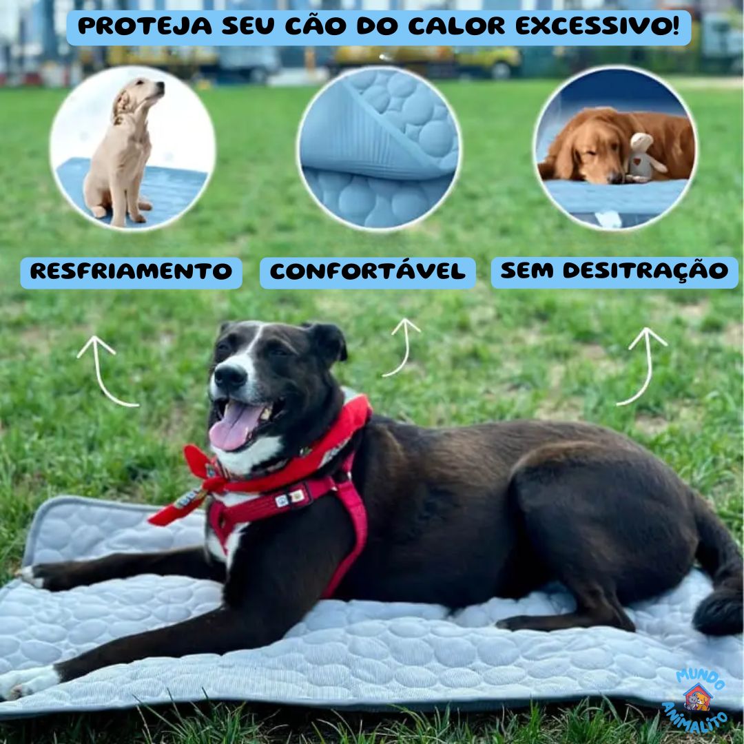 Cachorro deitado em tapete gelado para pets em parque, com destaque para resfriamento e conforto.