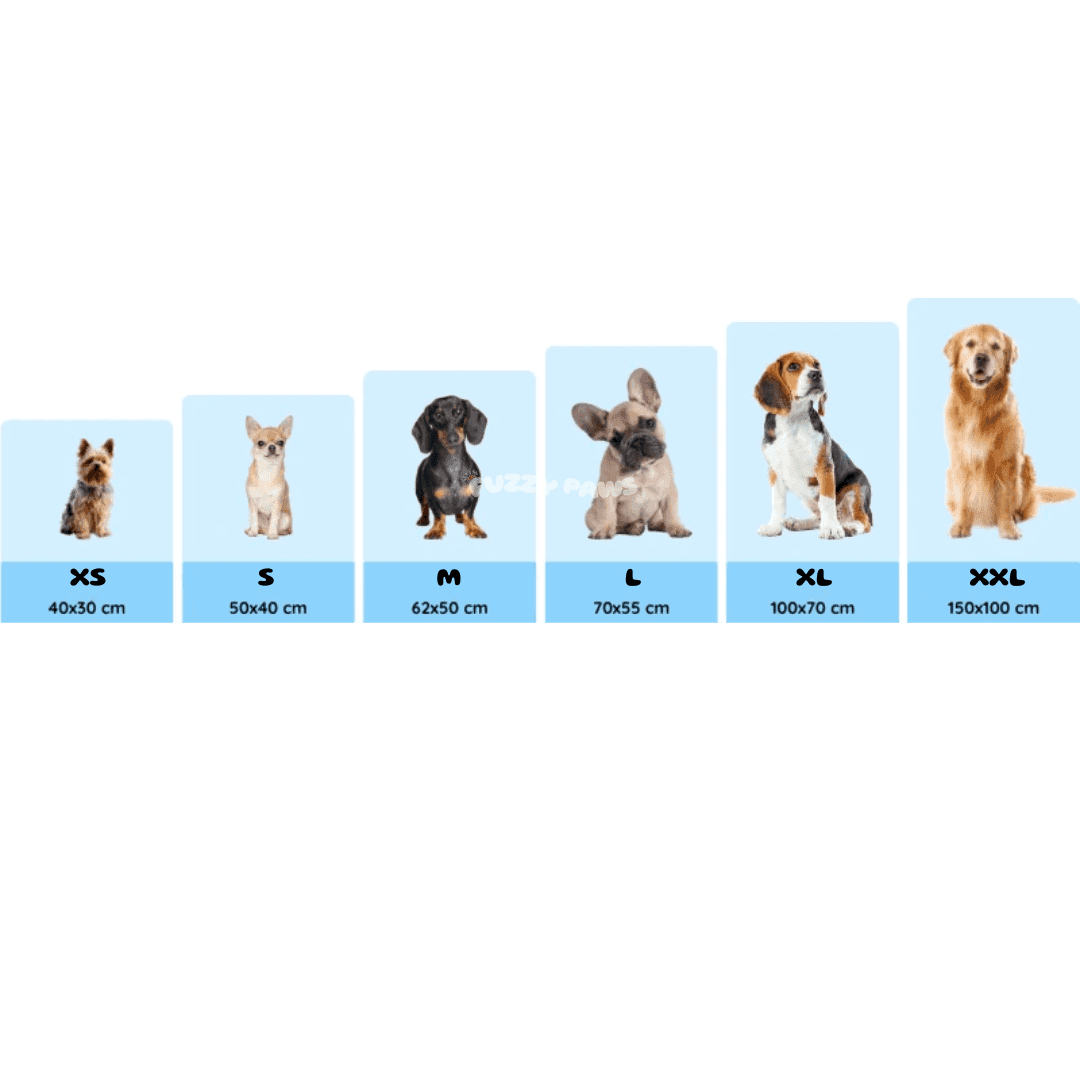 Tabela de tamanhos de tapete gelado para cachorros, com cães de vários portes e medidas.