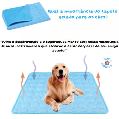 Cão deitado em tapete gelado azul para pets, com tapete dobrado ao fundo e textos explicativos.