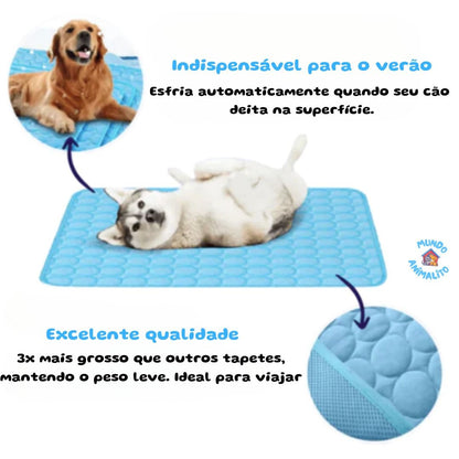 Tapete gelado azul para cães e gatos, com cachorro e gato deitados, ideal para o verão.