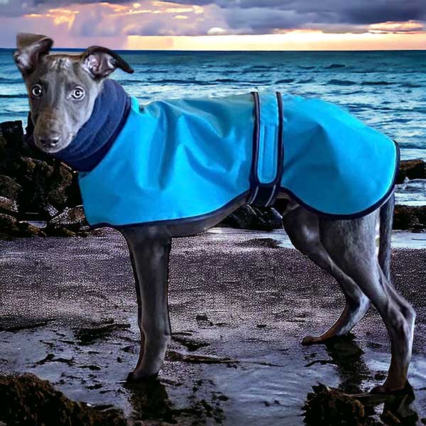 Casaco Impermeável 100% Algodão com Gola Alta para Cachorros Galgos