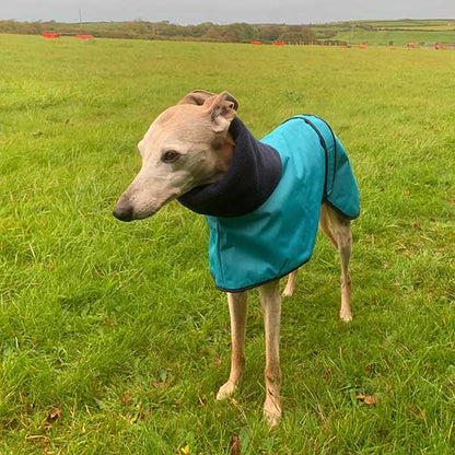 Casaco Impermeável 100% Algodão com Gola Alta para Cachorros Galgos