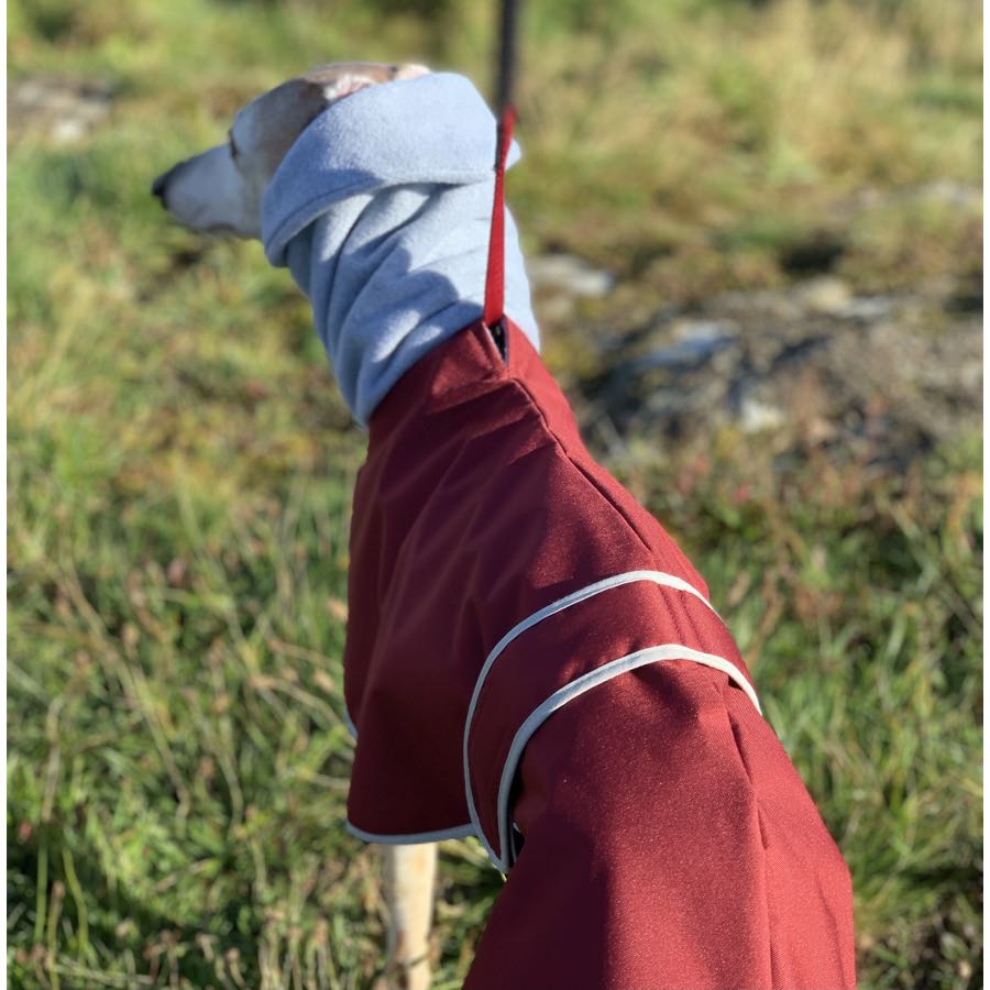 Casaco Impermeável 100% Algodão com Gola Alta para Cachorros Galgos