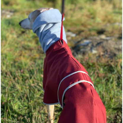 Casaco Impermeável 100% Algodão com Gola Alta para Cachorros Galgos