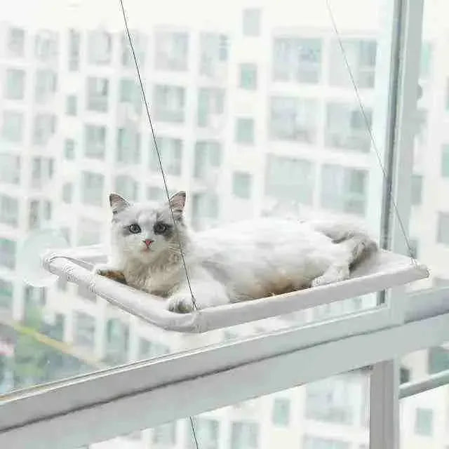 Window Hammock For Cats - Mundo Animalito