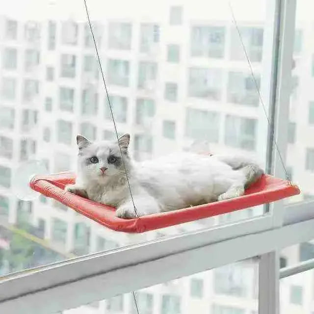 Window Hammock For Cats - Mundo Animalito