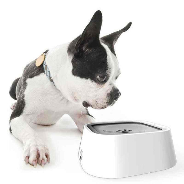 Bebedouro Inteligente Anti Respingo de 1,5L para Cães e Gatos - Mundo Animalito