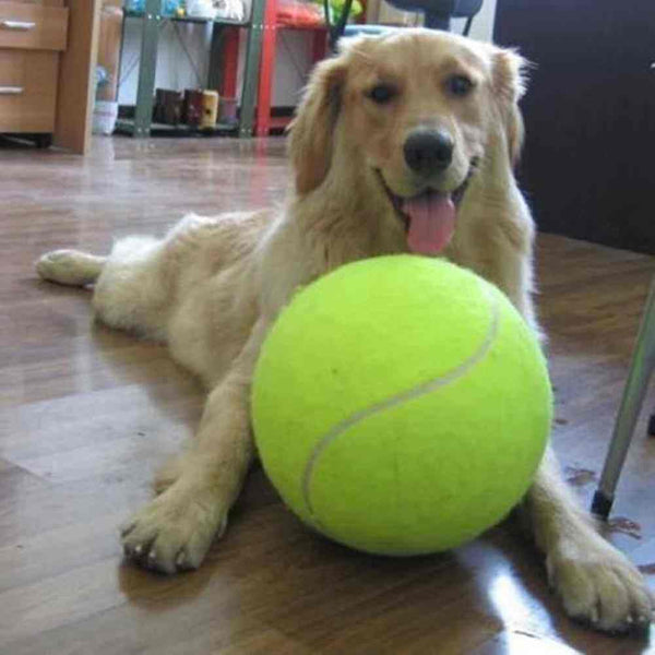 Bola de Tênis Gigante Para Cães - Mundo Animalito