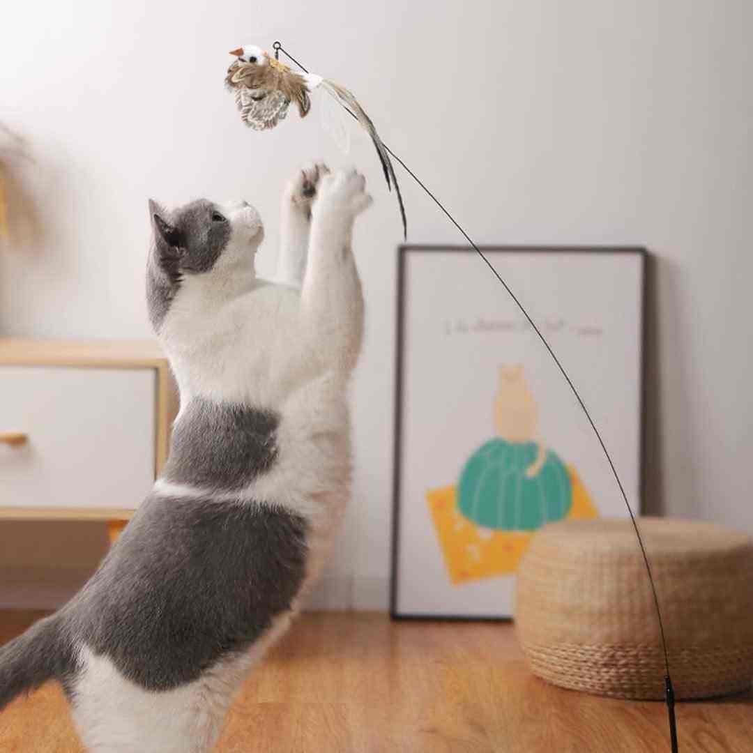 Brinquedo Interativo Simulador De Pássaro Para Gatos - Mundo Animalito