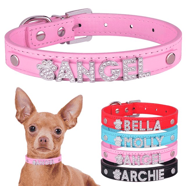 Coleira Personalizada Charms Para Cães e Gatos - Mundo Animalito