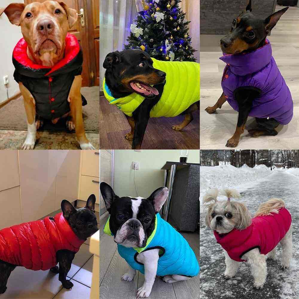 Colete de Inverno Impermeável Dupla Face para Cachorros - Mundo Animalito