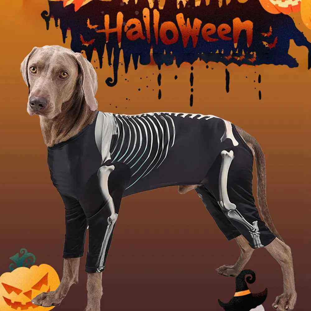 Fantasia para Cachorros - Esqueleto Halloween - Mundo Animalito