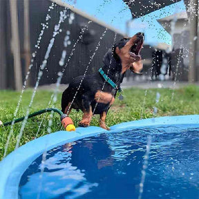 Piscina para Cachorro Pequeno, Médio e Grande com Chafariz - Mundo Animalito