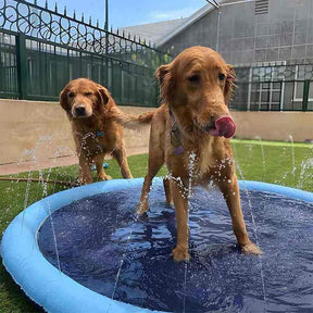 Piscina para Cachorro Pequeno, Médio e Grande com Chafariz - Mundo Animalito